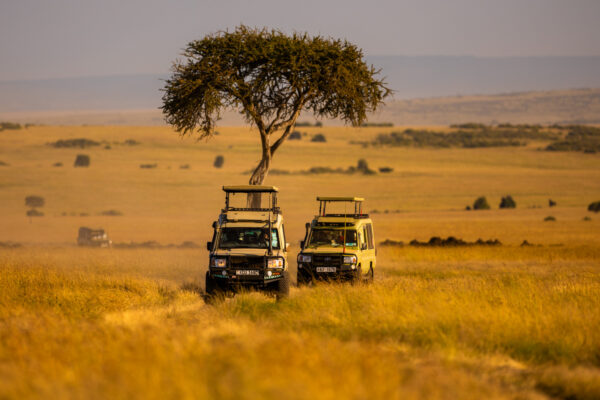AitorLamadrid_AinimalsDay1MasaiMara-25